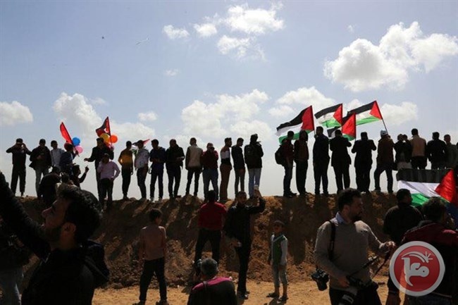 ندوة تناقش دور الجامعات والمؤسسات في دعم مسيرات العودة بغزة