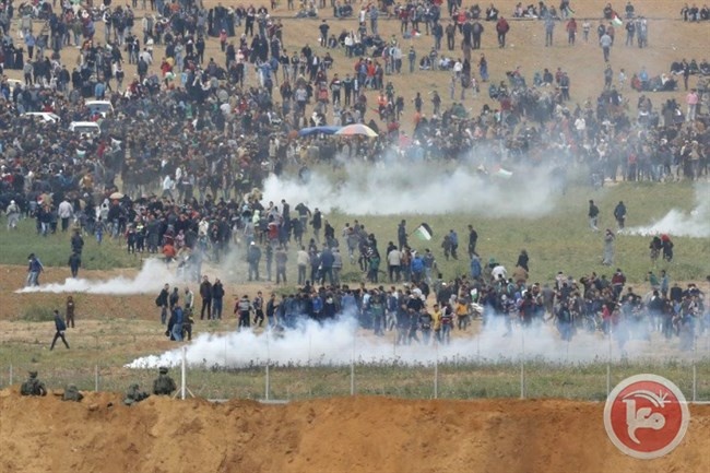 الشبكة تستنكر اعتداءات الاحتلال في غزة