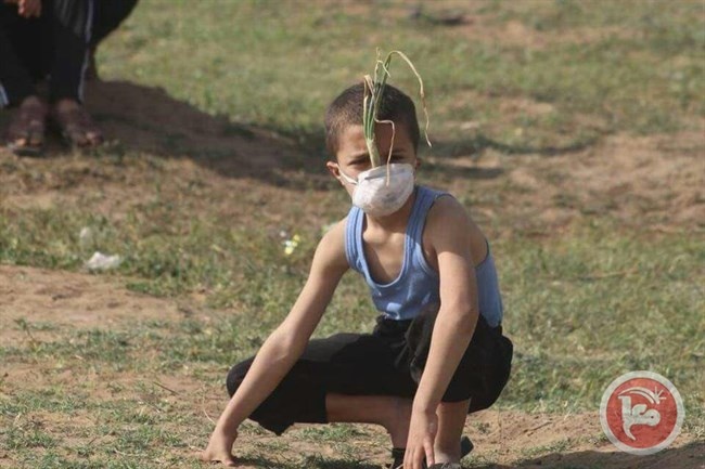 &lt;div&gt;صورة وتعليق: &lt;/div&gt;اطفال غزة يواجهون الاحتلال بأدوات بدائية