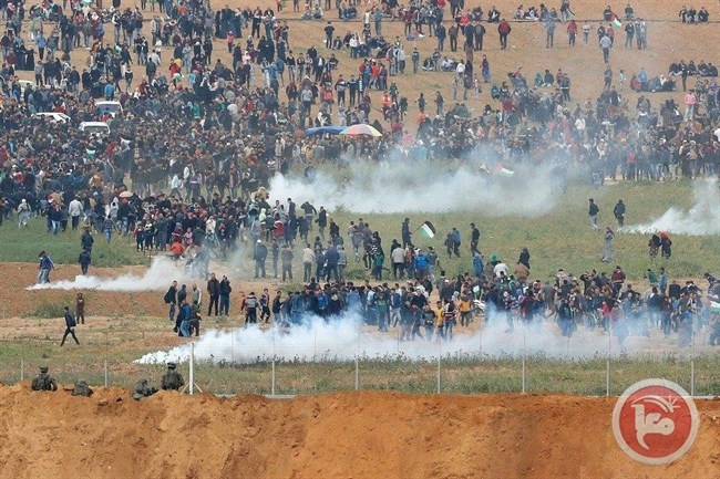 بتسيلم لـ الأمم المتحدة: عليكم حماية أرواح المتظاهرين الفلسطينيين
