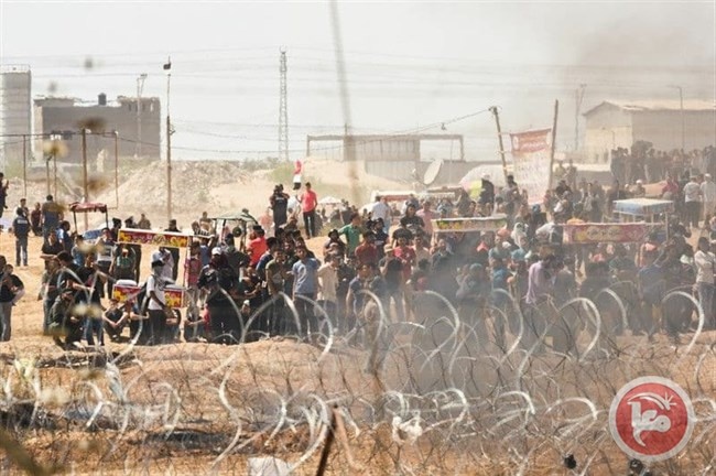 شهيد و973 اصابة على حدود غزة
