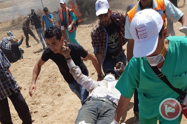 نقل مصابي غزة من مستشفيات العريش للقاهرة