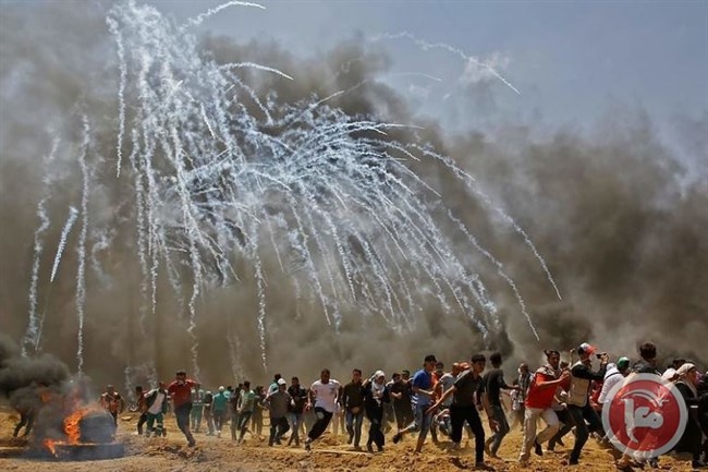 بيونغ يانغ: اسرائيل ارتكبت مجازر فظيعة على حدود غزة