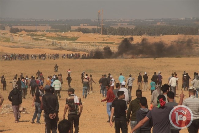 عشراوي تناشد المجتمع الدولي لوقف المجزرة في غزة
