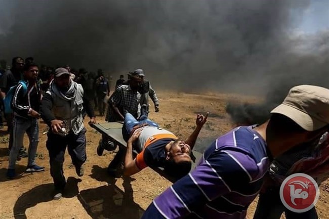 إضراب شامل يوم غد حدادا على أرواح الشهداء
