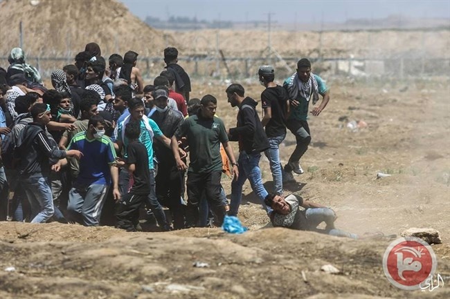صور- تفضح جيش الاحتلال على حدود غزة