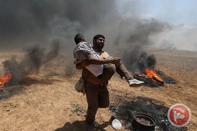 60 قتيلا في غزة- نهاية الضمير