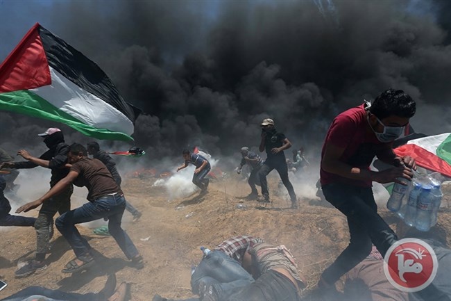 تركيا تنقل مجزرة غزة إلى أجندة المجلس الأوروبي