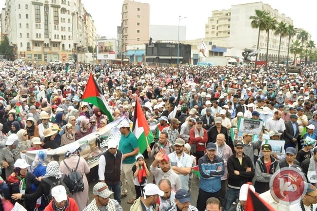 فيديو- آلاف المغاربة يتظاهرون ضد نقل السفارة