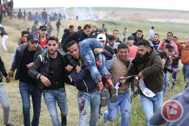 برلمانيون يطالبون بموقف أوروبي حازم ضد إسرائيل