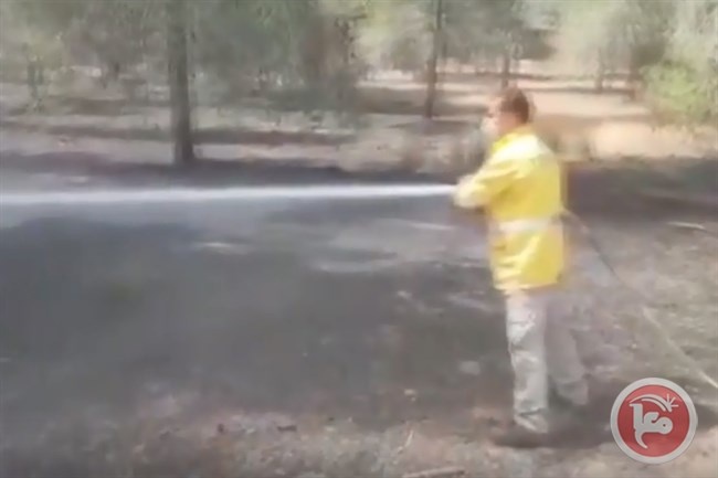 فيديو- النيران تلتهم غابة &quot;كيسوفيم&quot; بفعل طائرة ورقية