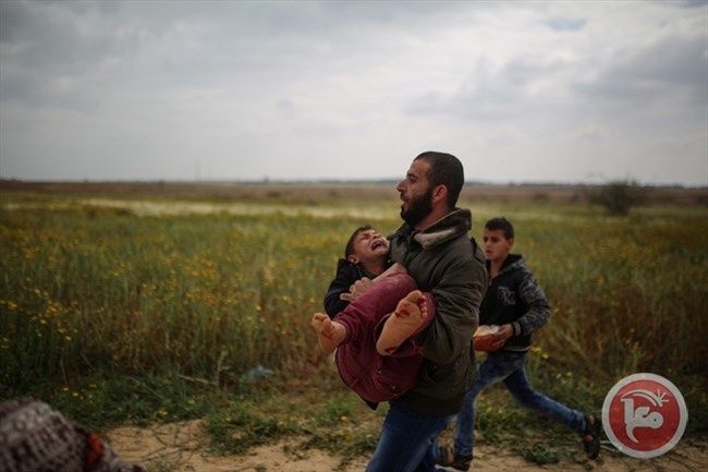 الصليب الاحمر يناشد لتخصيص أموال لعلاج جرحى غزة