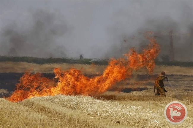 النيران تلتهم الاف الدونمات في اسرائيل