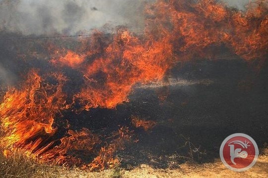 اسرائيل تقرر تعويض مزارعي المستوطنات من اموال السلطة