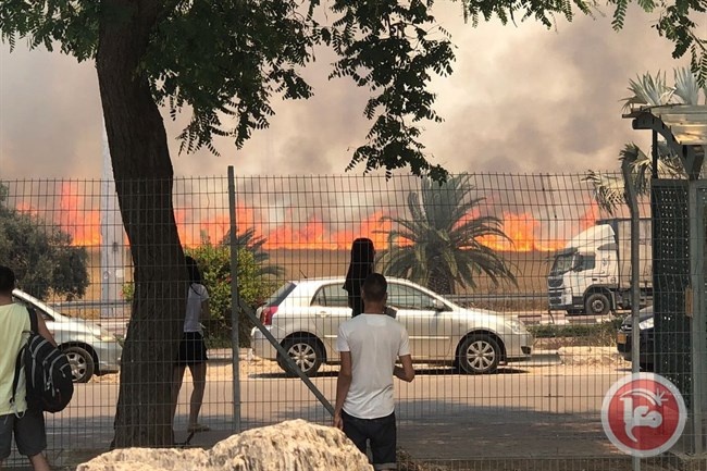 شاهد- ورقيات غزة تشعل الأرض في سديروت