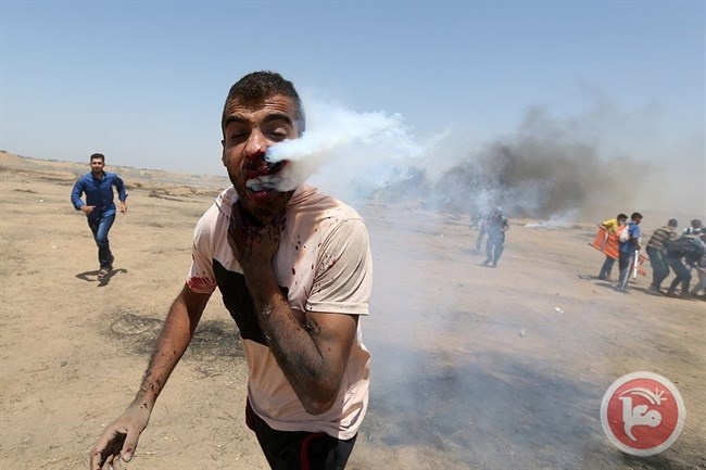 الحكومة تطالب المجتمع الدولي التدخل ووقف العدوان على غزة