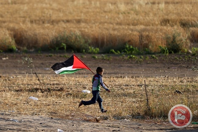 المالكي: العالم ينتصر لحق الشعب الفلسطيني بالحماية