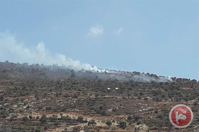 مستوطنون يشعلون النار في جبال بيت فوريك بنابلس