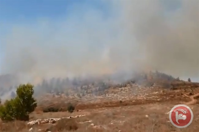 فيديو- إخلاء بيوت للمستوطنين بسبب النيران