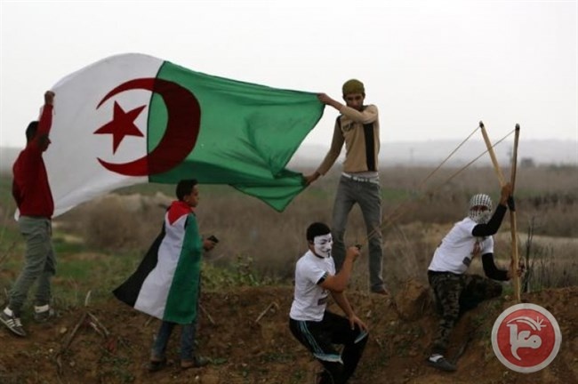 الجزائر تدعو الأمم المتحدة لحماية الفلسطينيين