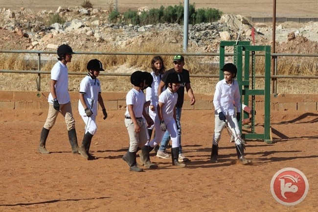 اتحاد الفروسية ينظم بطولة للقفز على الحواجز بنابلس
