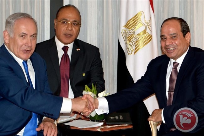 زار مصر- لماذا التقى نتنياهو السيسي؟