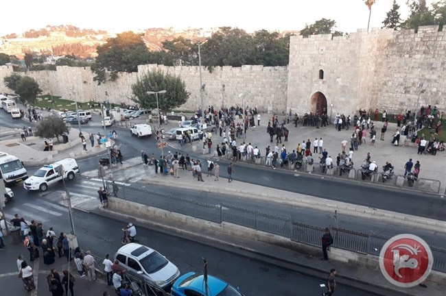 الحكومة تحذر من تصعيد الاحتلال في القدس