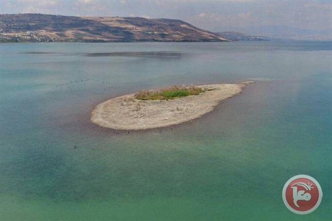 شاهد- جزيرة بحيرة طبريا قائمة رغم الامطار الاخيرة
