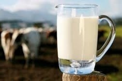 فوائد تناول الحليب على الافطار