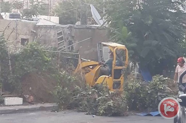 مستوطنون يستولون على قطعة أرض في حي الشيخ جراح