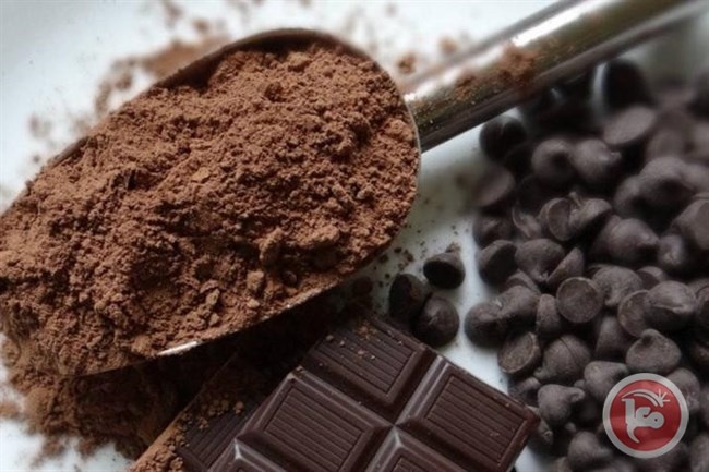 تعرف على الفوائد الصحية لبودرة الكاكاو