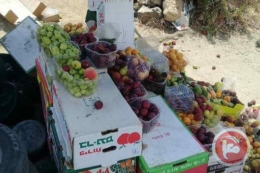 الاحتلال يهدم عرائش المزارعين ويصادر بضائعهم في بيت امر