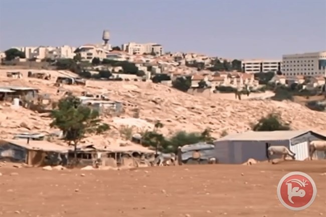 214 attacks by the occupation and its settlers against Bedouin communities during October
