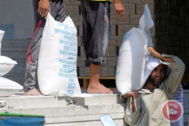 بريطانيا تقدم مساعدات غذائية عاجلة &quot;للأونروا&quot; بغزة بـ5 مليون جنيه