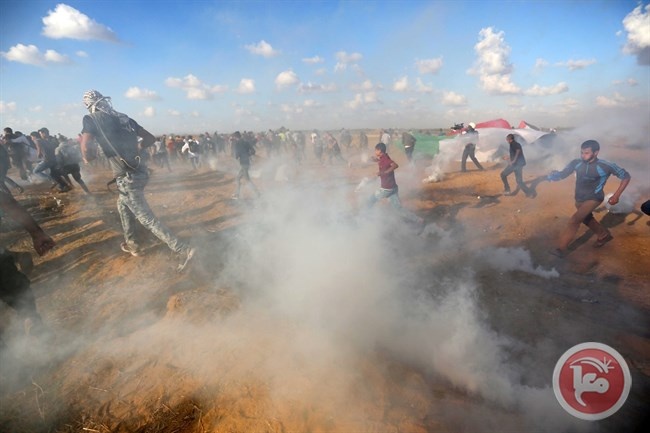 منظمة التحرير تثمن دعوة المفوض لاجراء تحقيق بجرائم الاحتلال في غزة