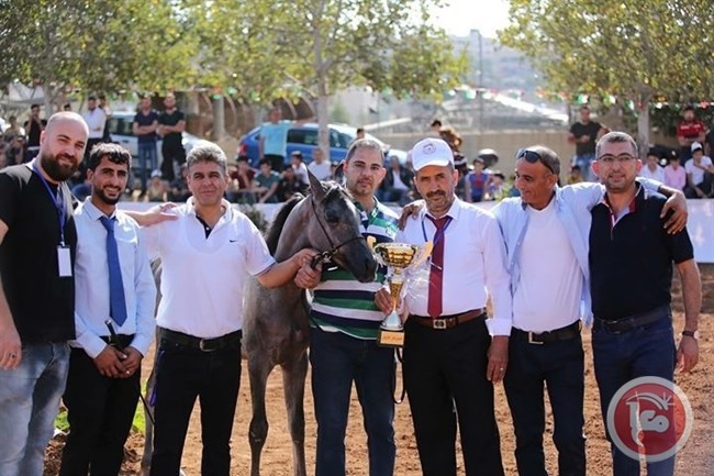 &quot;خليل الرحمن للفروسية&quot; ينظم بطولة العودة لجمال الخيول العربية