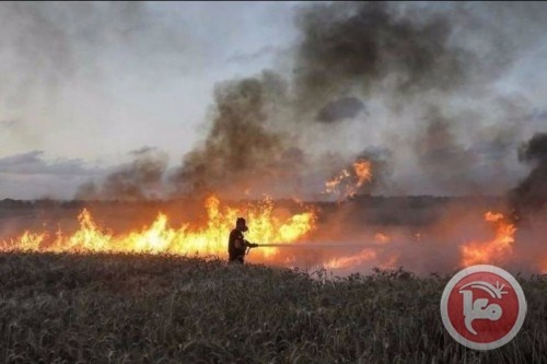 الاحتلال يحرق مزرعة في سبسطية
