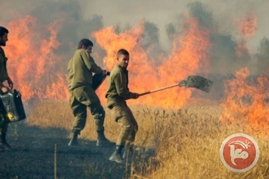 جندي على حدود غزة: &quot;هذه ليست مظاهرات .. هذه حرب&quot;