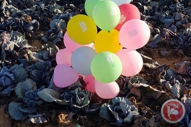 البالونات المفخخة تتساقط على مستوطنات الغلاف