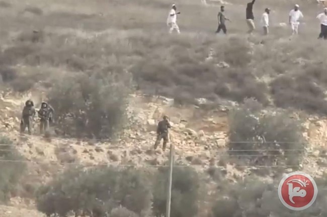 شاهد- مستوطنون هاجموا المزارعين دون تدخل جنود الاحتلال