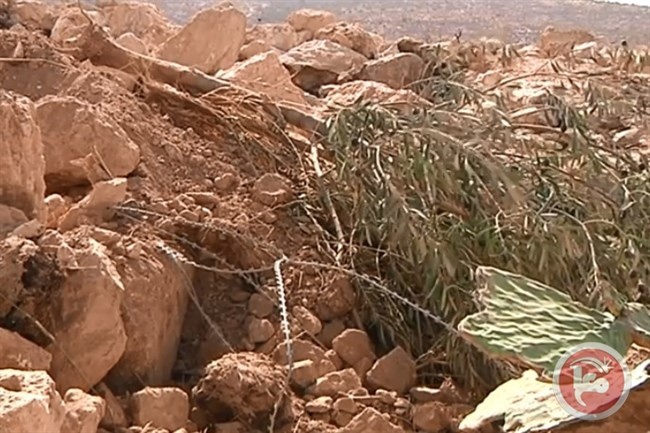 الاحتلال يجرف أراض ويقتلع مئات الأشجار غرب الخليل