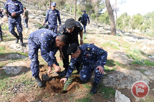 الشرطة ومديرية الزراعة ينظمان حملة لزراعة الأشجار