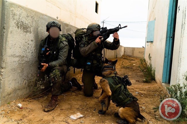 (فيديو وصور) &quot;وحدة الكلاب &quot;تستعد للحرب