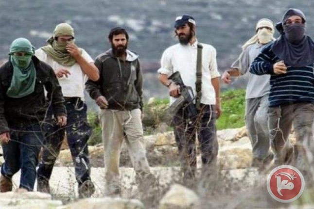 وزيرة في حكومة الاحتلال تدعو المستوطنين لحمل السلاح وقتل الفلسطينيين