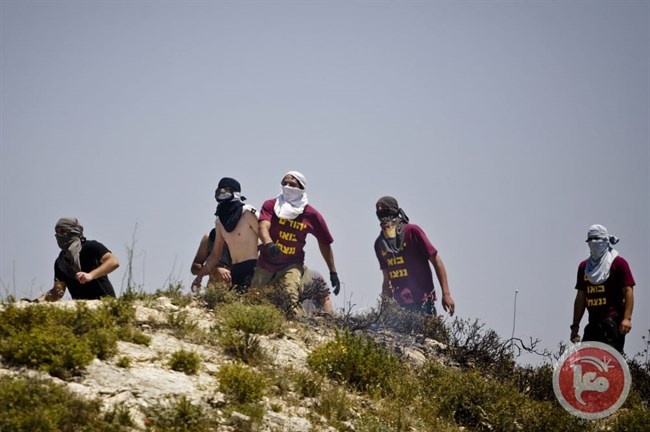 اعتقالات- مستوطنون يعتدون على مواطن جنوب بيت لحم