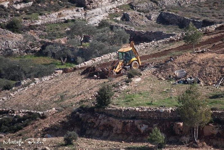 فيديو- الاحتلال يجرّف 15 دونما ويقتلع 60 شجرة في بتير