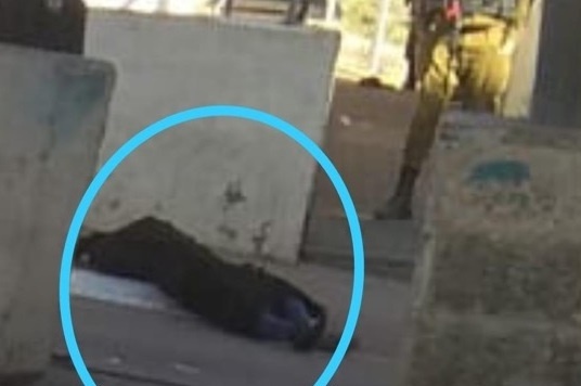 الخارجية تطالب بالتحقيق بجريمة إعدام الطفلة مبارك