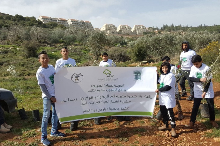 &quot;مزارعي بيت لحم&quot; تنفذ حملة زراعة أشجار الزيتون بواد فوكين