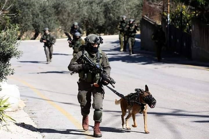 مواجهات واخطارات هدم- الاحتلال يعتقل 13مواطنا ويصادر سلاحا