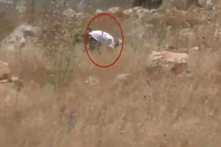 شاهد- جندي يحرق حقول الفلسطينيين في الضفة